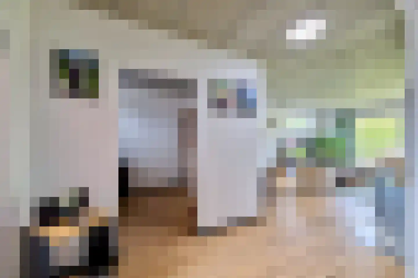 Hamonterweg 115 Budel-Schoot thumbnail 6