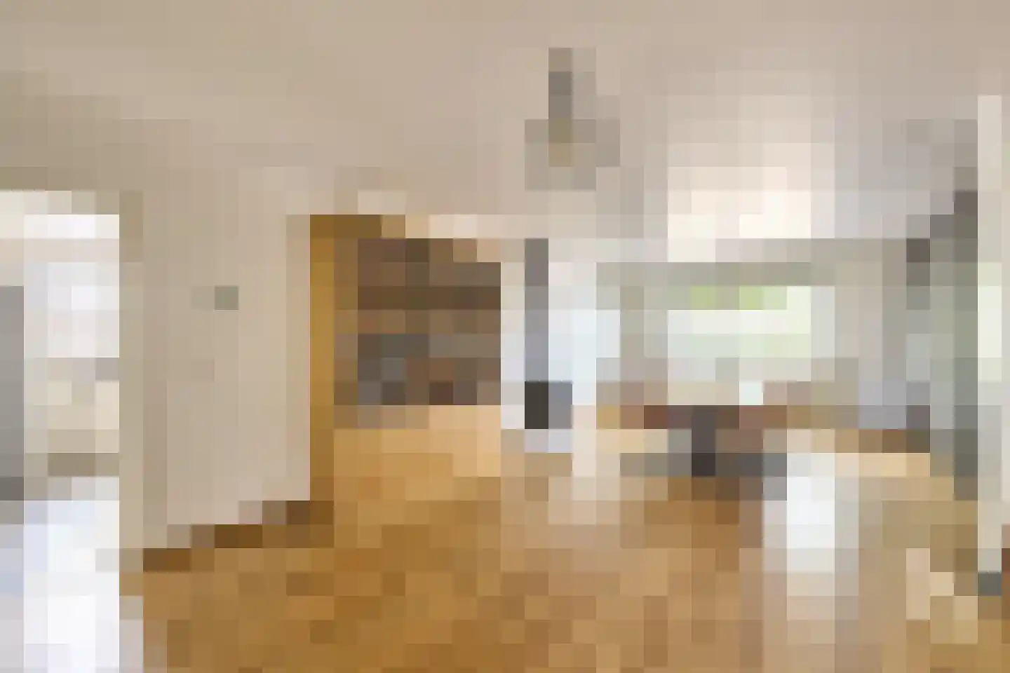 Hamonterweg 115 Budel-Schoot thumbnail 8