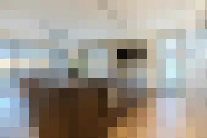 Hamonterweg 16 Budel-Schoot thumbnail 12