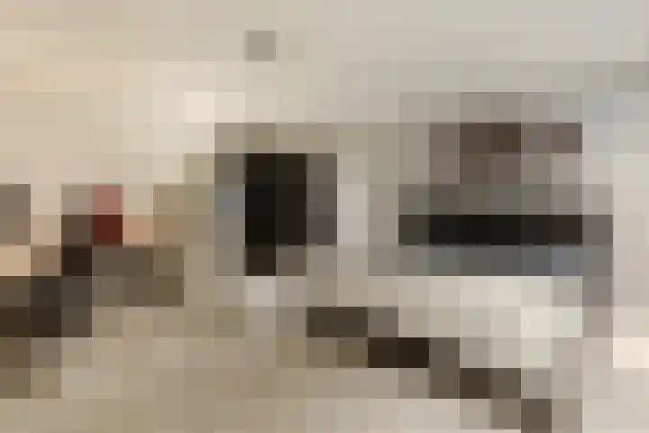 Hamonterweg 16 Budel-Schoot thumbnail 31