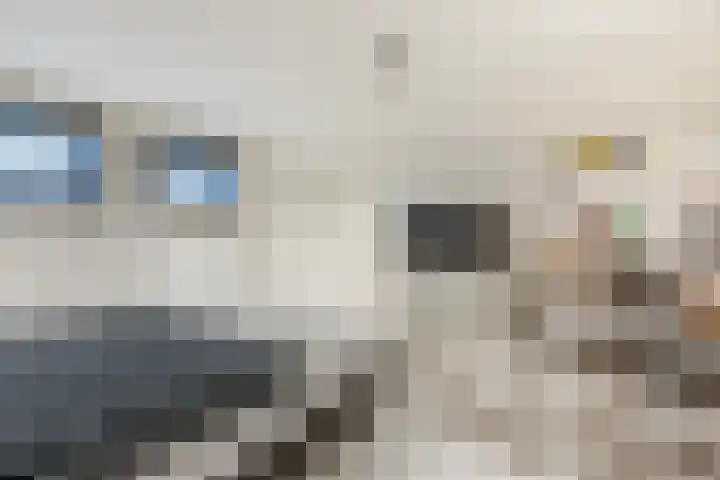 Hamonterweg 16 Budel-Schoot thumbnail 32