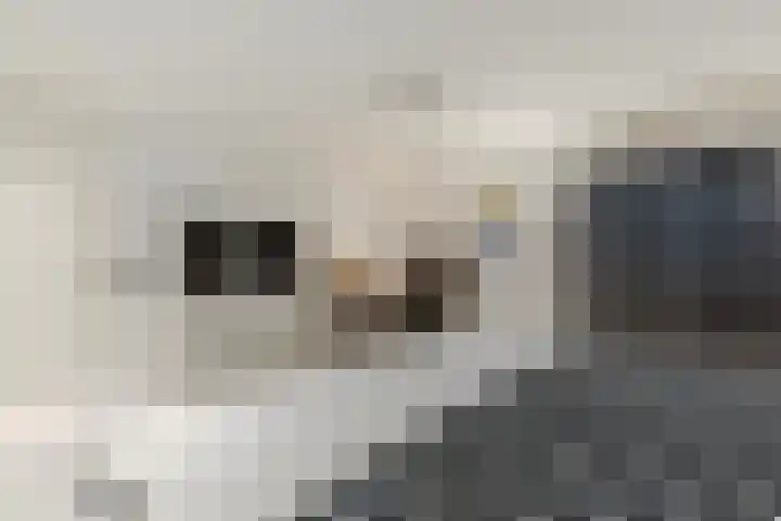 Hamonterweg 16 Budel-Schoot thumbnail 33