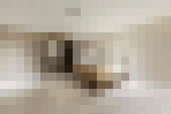 Hamonterweg 16 Budel-Schoot thumbnail 35
