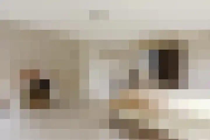 Hamonterweg 16 Budel-Schoot thumbnail 36
