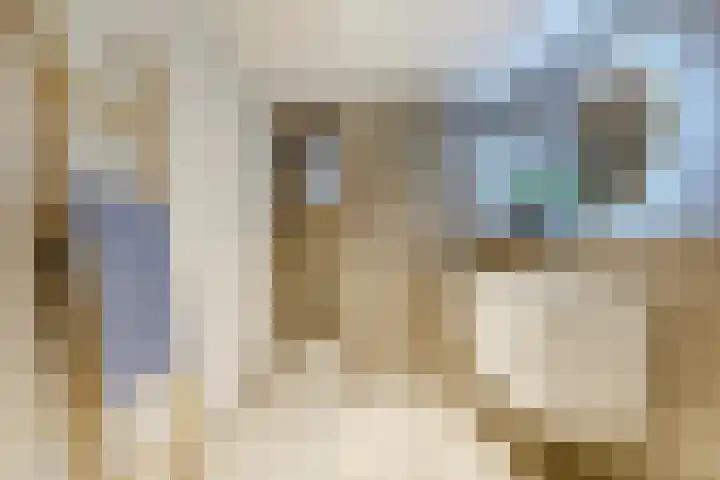 Hamonterweg 16 Budel-Schoot thumbnail 37