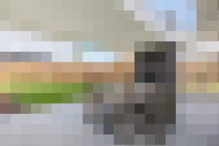 Hamonterweg 16 Budel-Schoot thumbnail 41