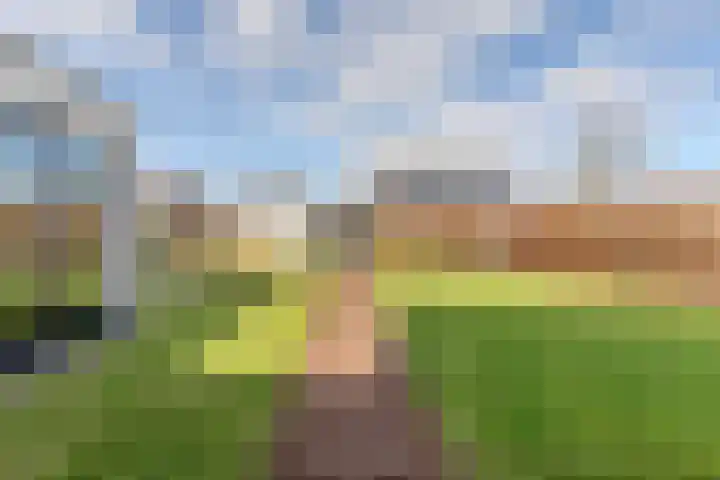 Hamonterweg 16 Budel-Schoot thumbnail 43