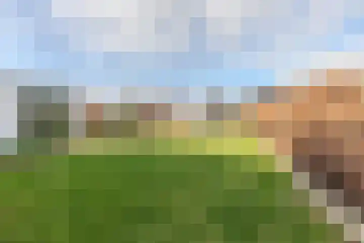 Hamonterweg 16 Budel-Schoot thumbnail 45