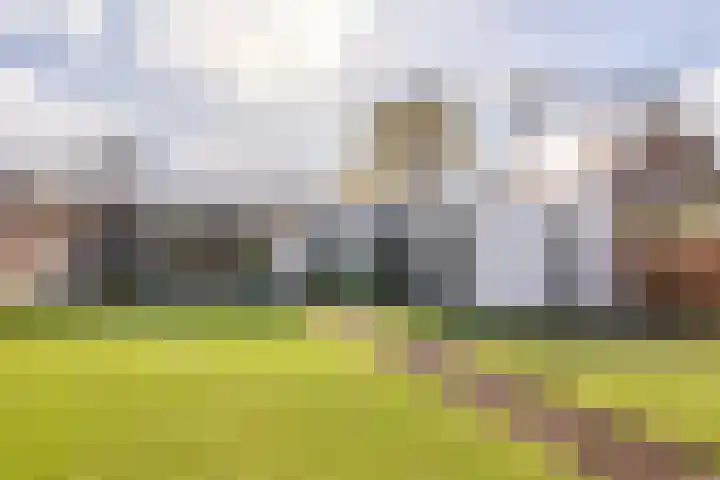 Hamonterweg 16 Budel-Schoot thumbnail 47