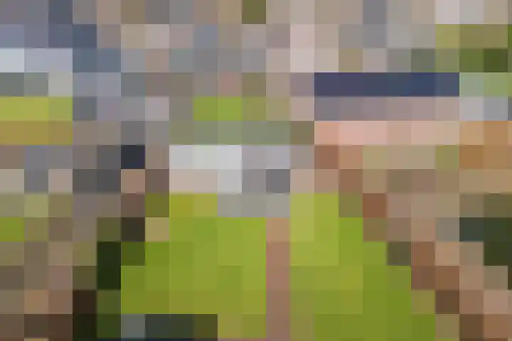 Hamonterweg 16 Budel-Schoot thumbnail 54