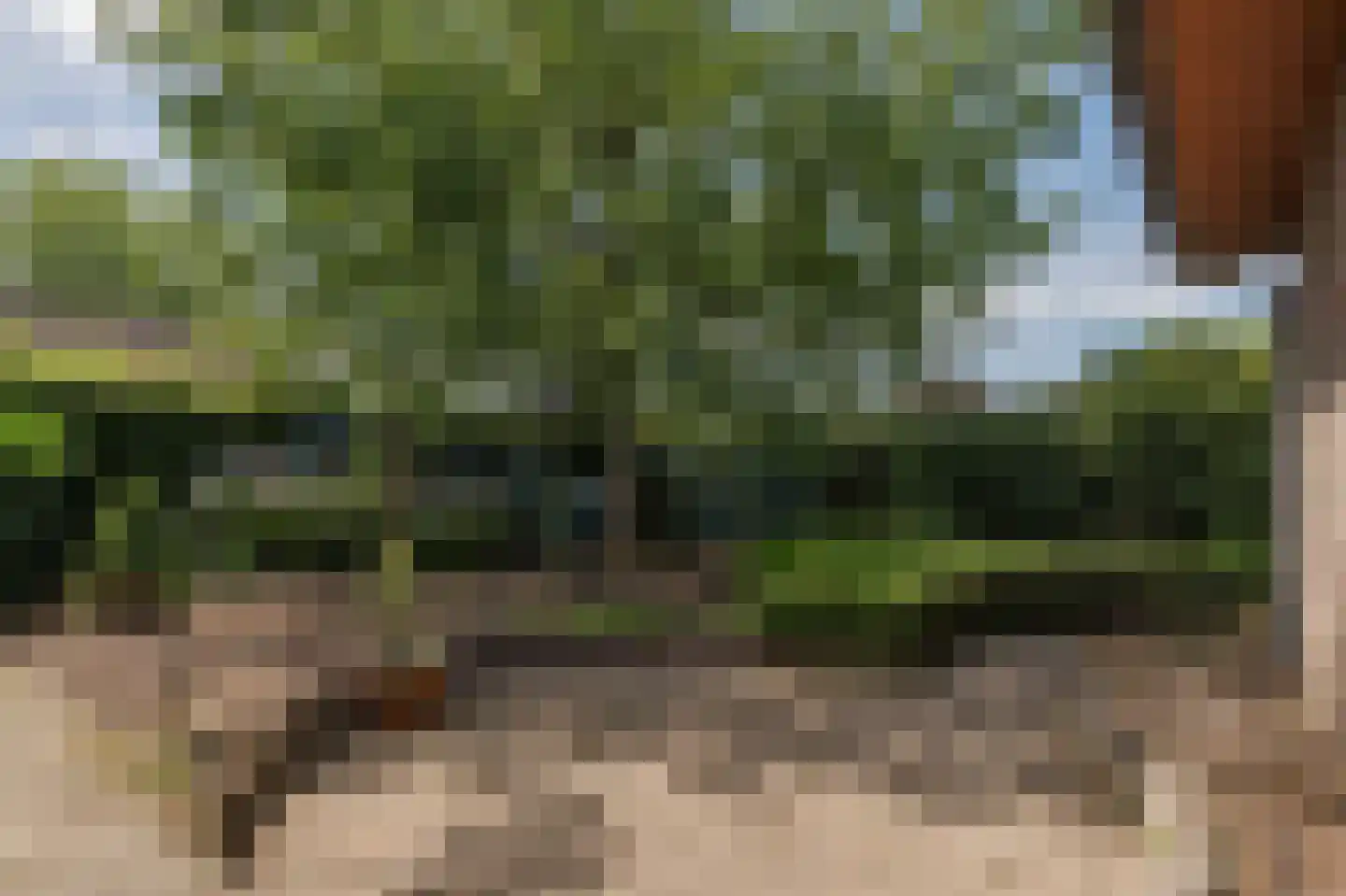 Hamonterweg 17 Budel-Schoot thumbnail 11
