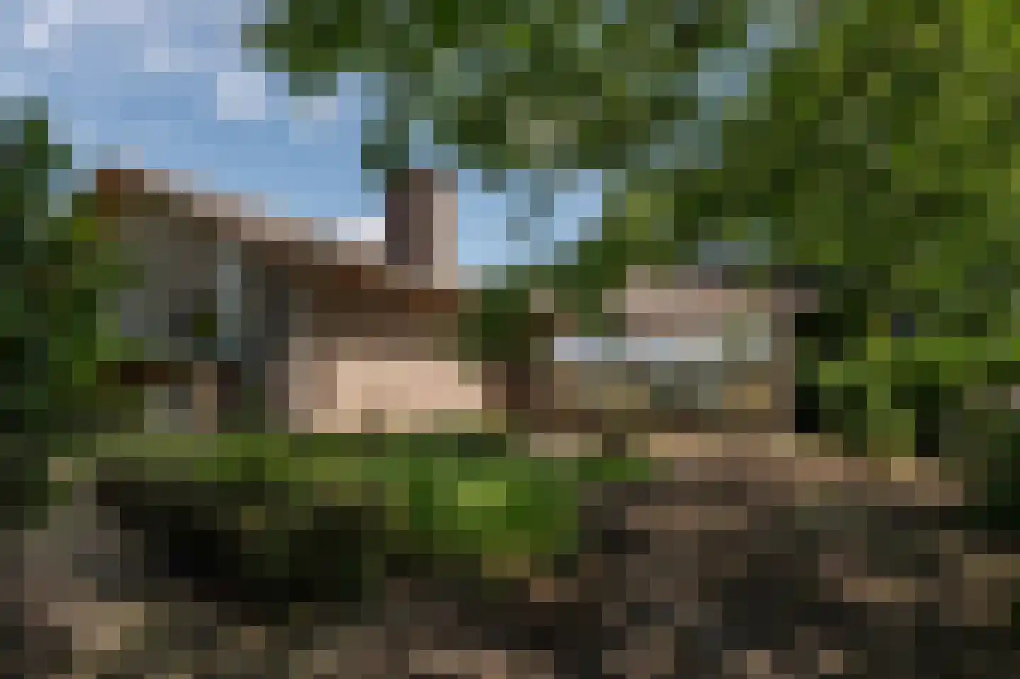 Hamonterweg 17 Budel-Schoot thumbnail 13