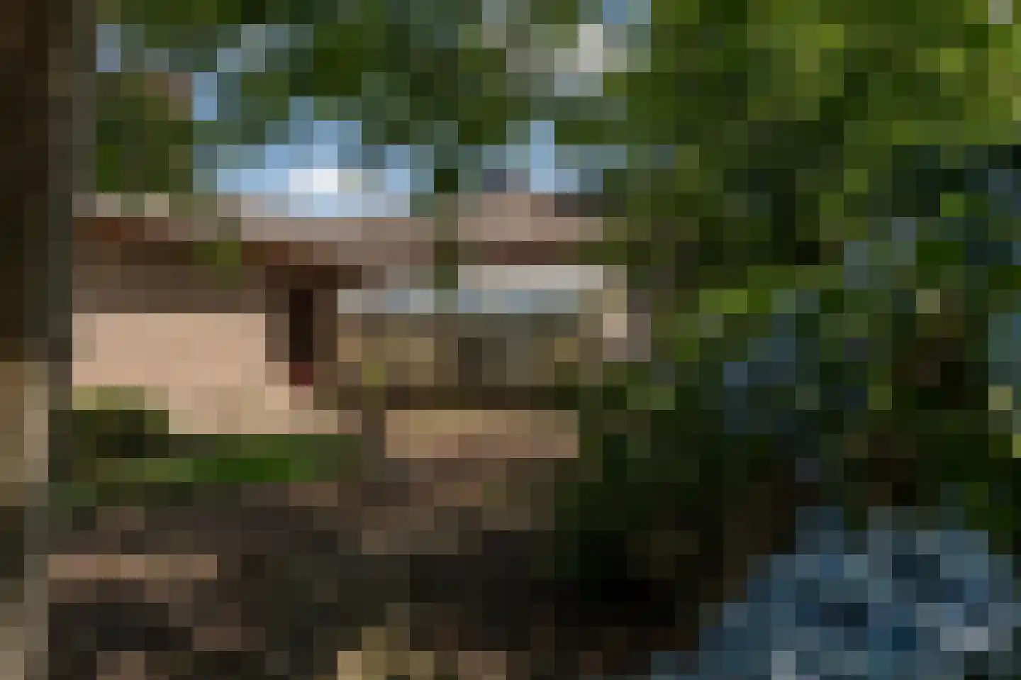 Hamonterweg 17 Budel-Schoot thumbnail 14