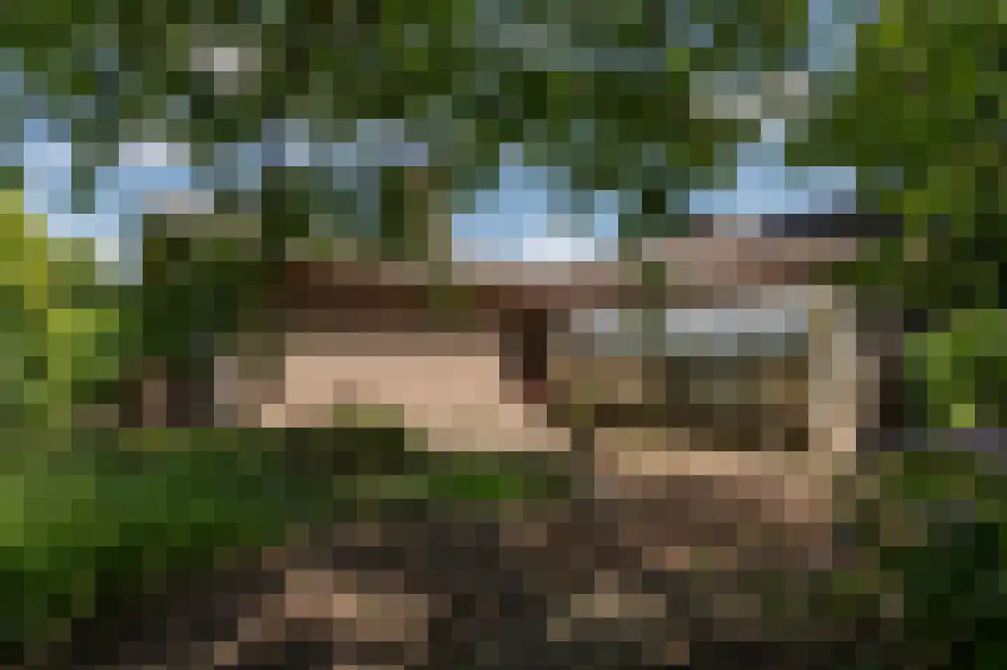Hamonterweg 17 Budel-Schoot thumbnail 15