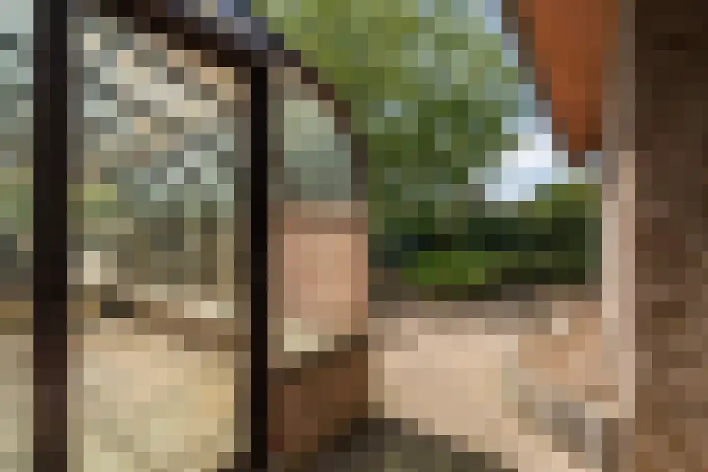 Hamonterweg 17 Budel-Schoot thumbnail 17