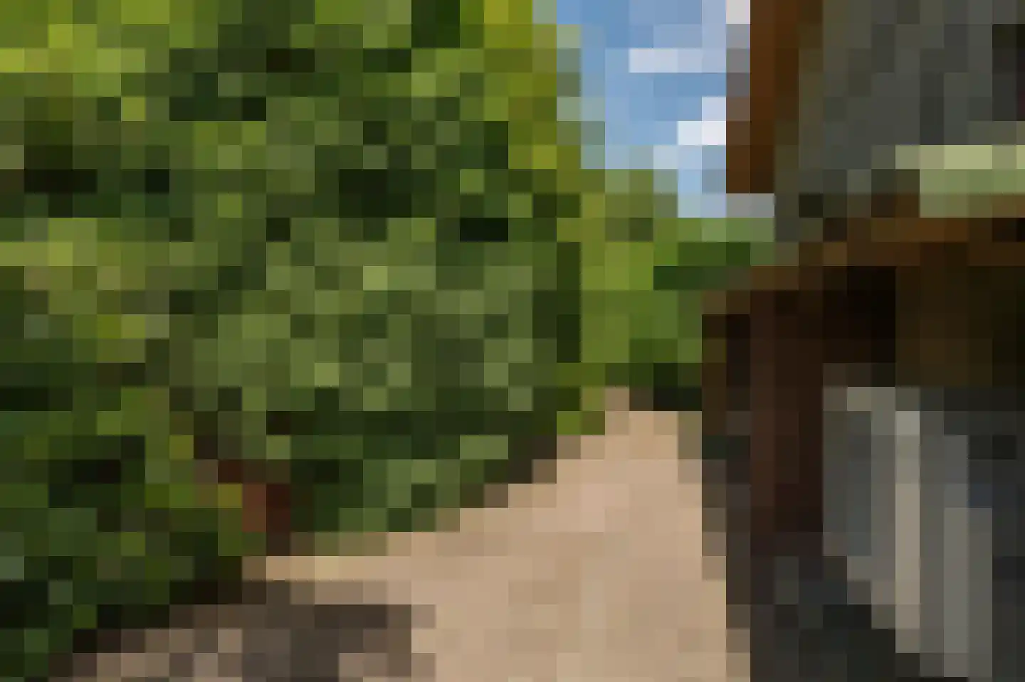 Hamonterweg 17 Budel-Schoot thumbnail 18