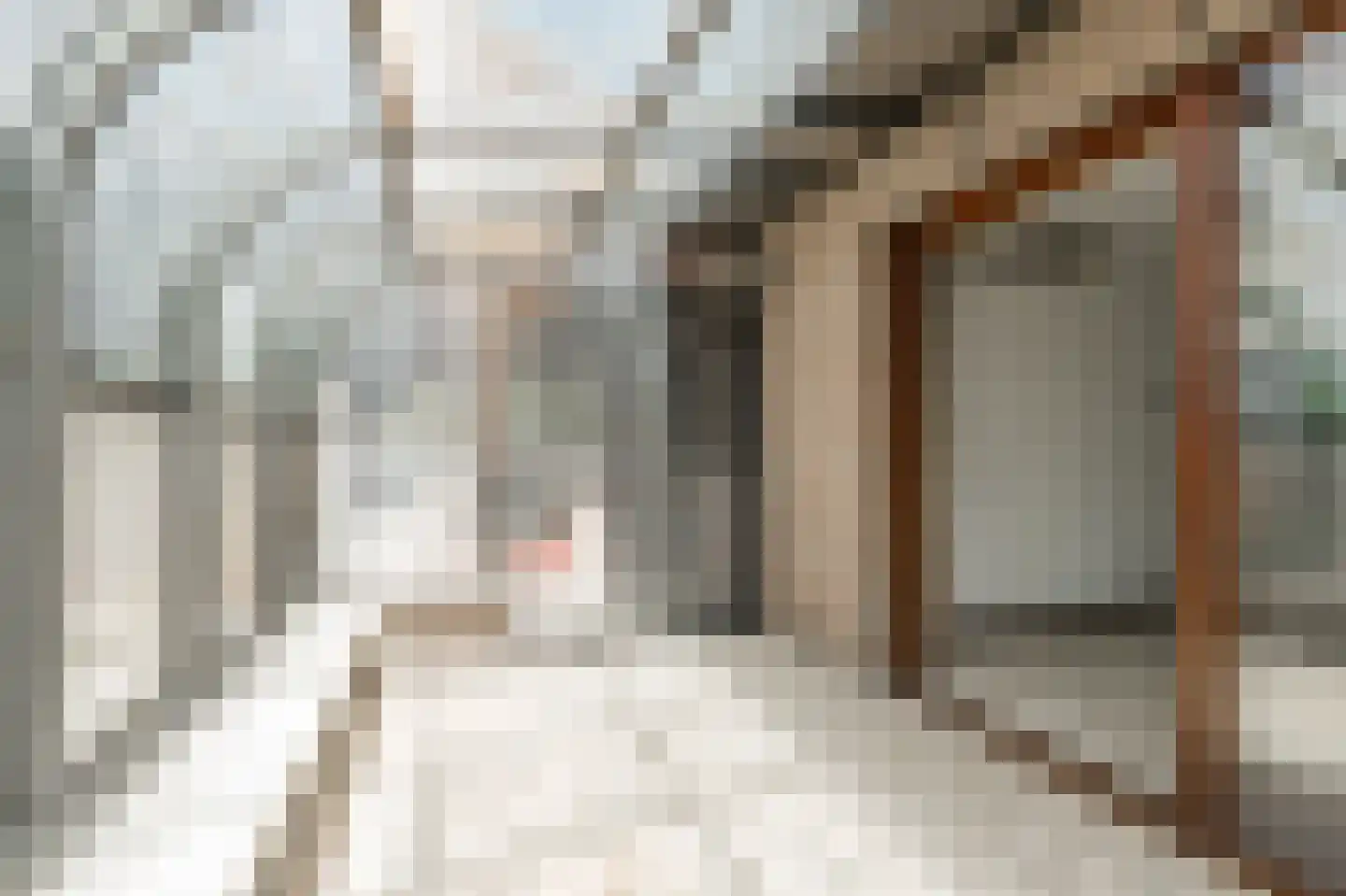 Hamonterweg 17 Budel-Schoot thumbnail 27