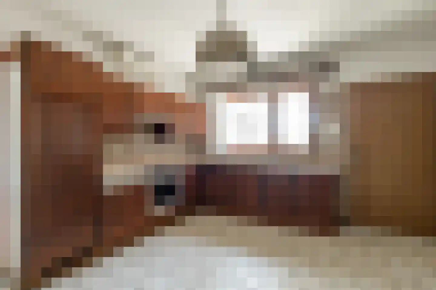 Hamonterweg 17 Budel-Schoot thumbnail 30