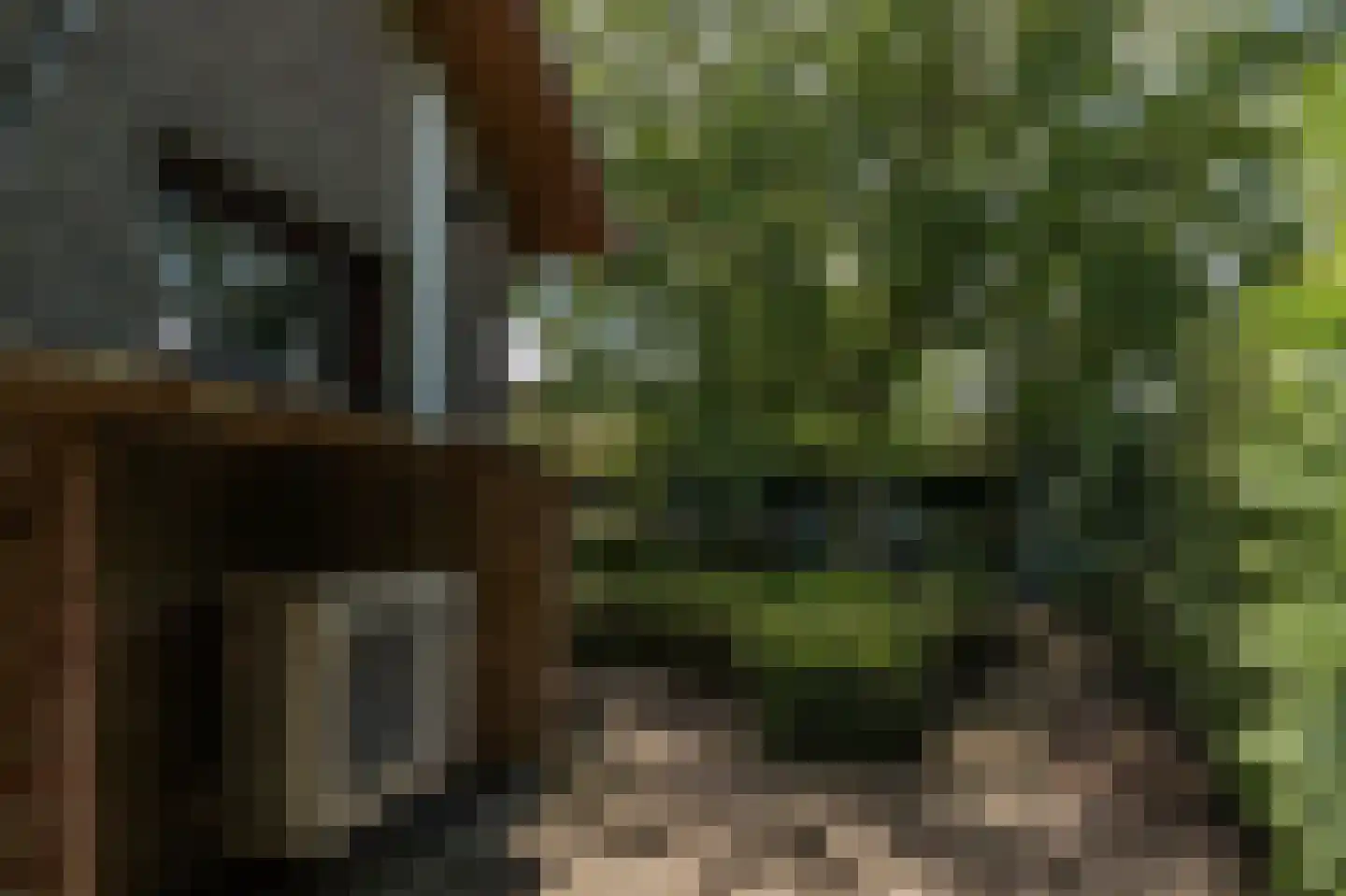 Hamonterweg 17 Budel-Schoot thumbnail 8