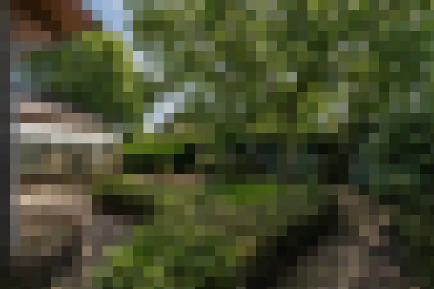 Hamonterweg 17 Budel-Schoot thumbnail 9