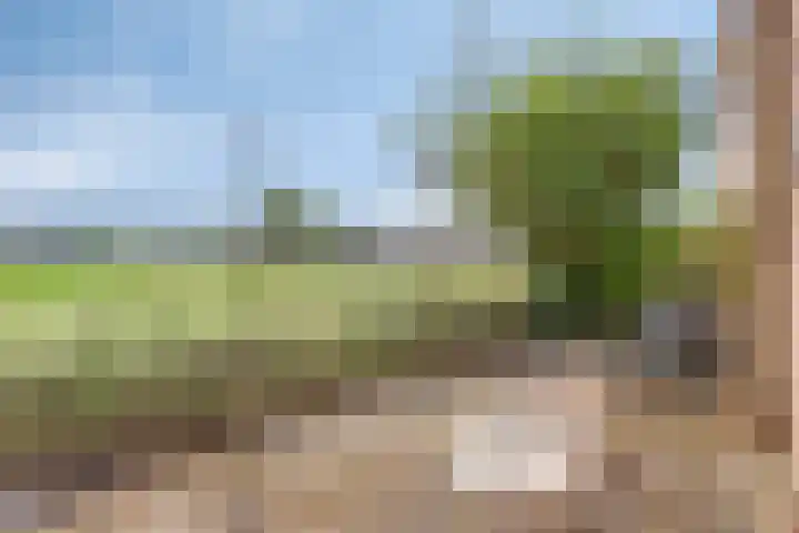 Hamonterweg 56 Budel-Schoot thumbnail 33