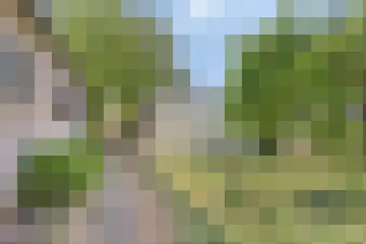 Hamonterweg 56 Budel-Schoot thumbnail 36