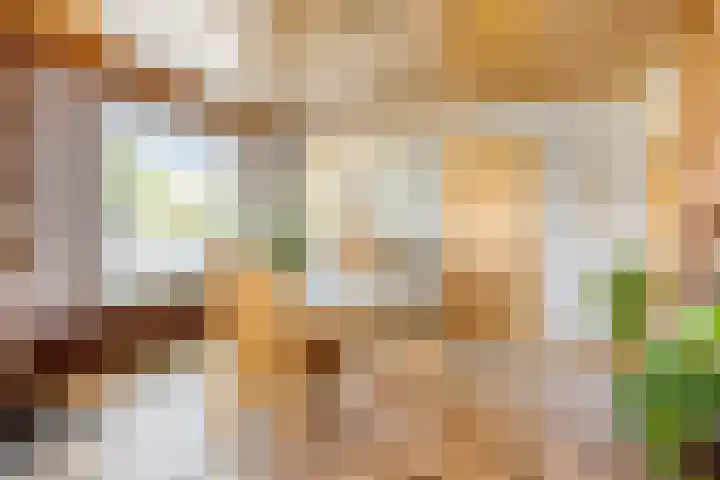 Hamonterweg 56 Budel-Schoot thumbnail 8