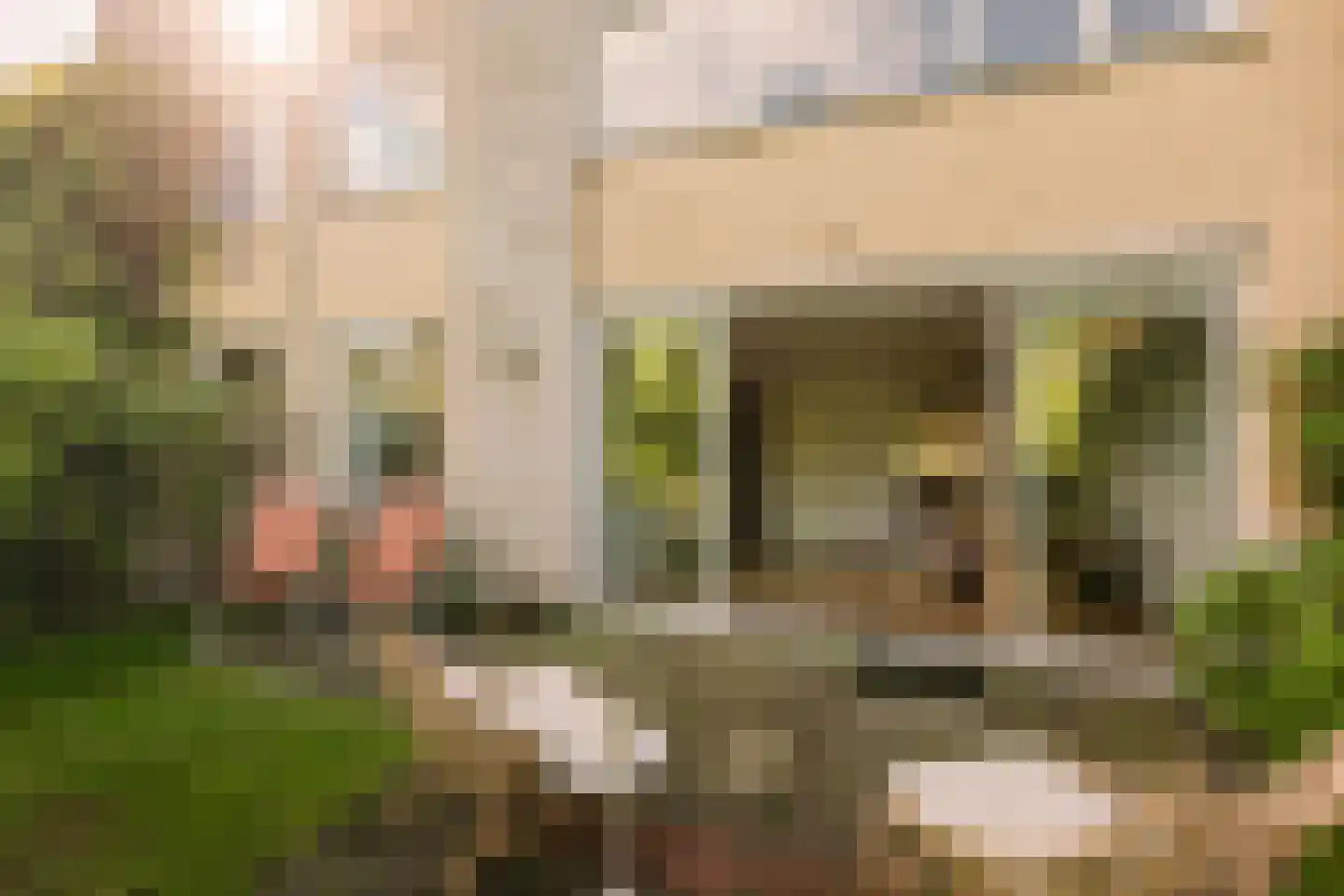 Hamontstraat 14 Amsterdam thumbnail 13