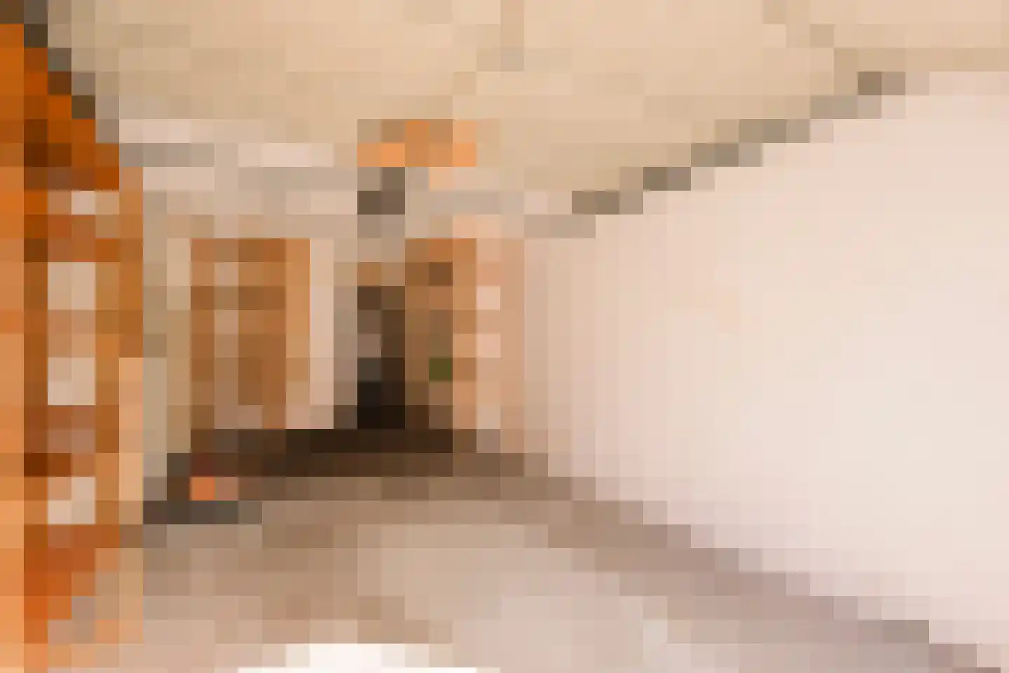 Hamontstraat 14 Amsterdam thumbnail 27