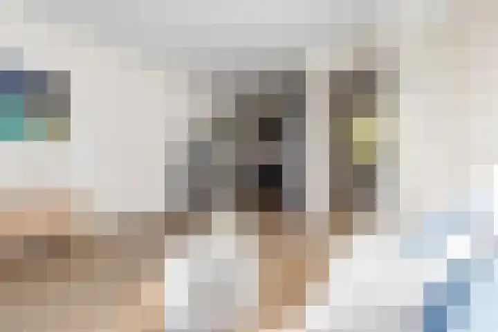 Hamplaats 15 Ten Boer thumbnail 15