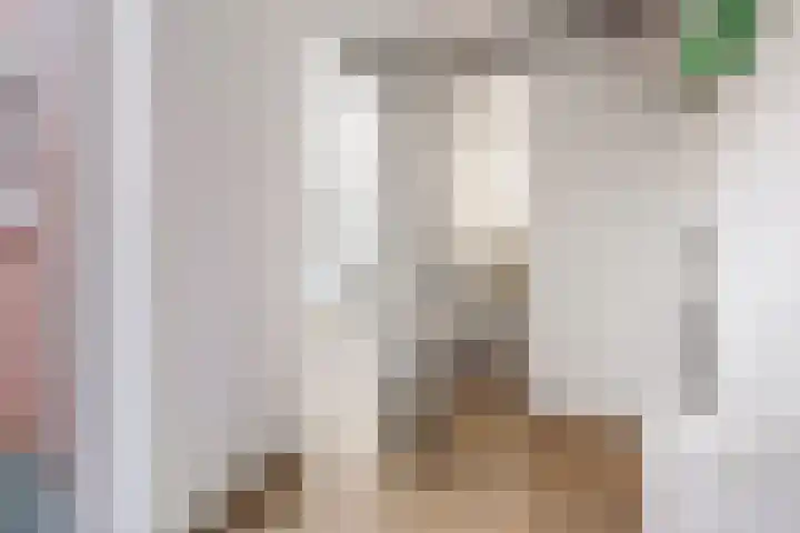 Hamplaats 15 Ten Boer thumbnail 20