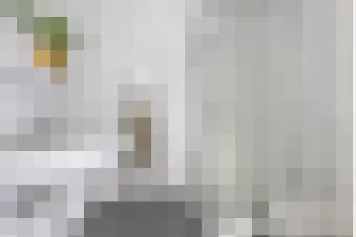Hamplaats 15 Ten Boer thumbnail 21