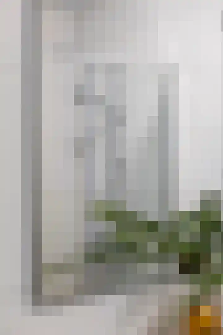 Hamplaats 15 Ten Boer thumbnail 22