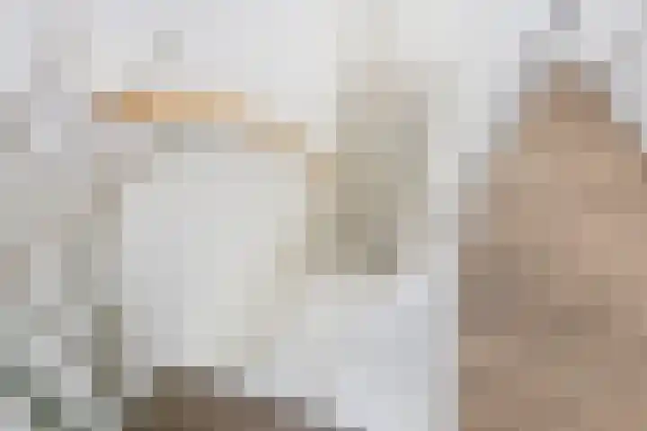 Hamplaats 15 Ten Boer thumbnail 26