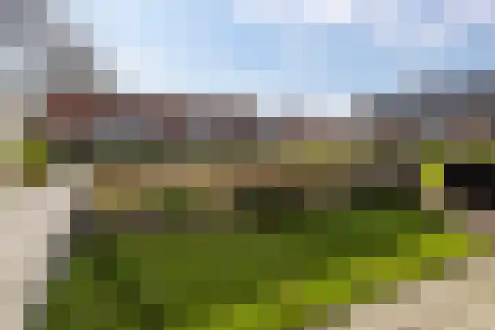 Hamplaats 15 Ten Boer thumbnail 31