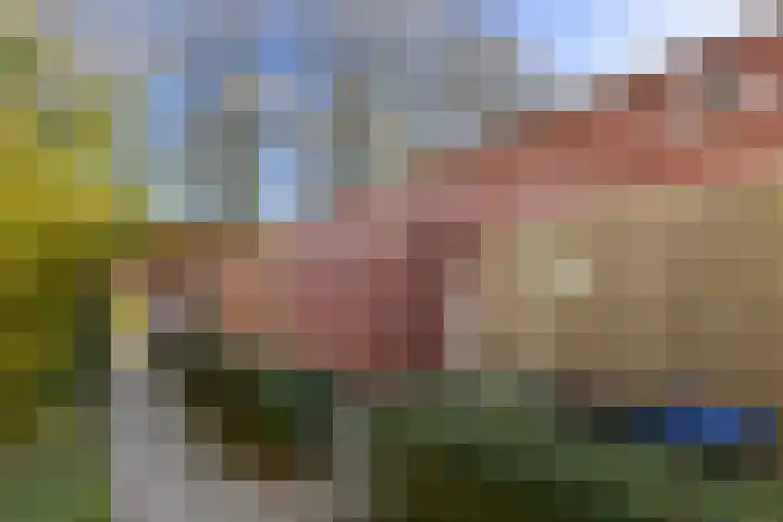 Hamplaats 15 Ten Boer thumbnail 35
