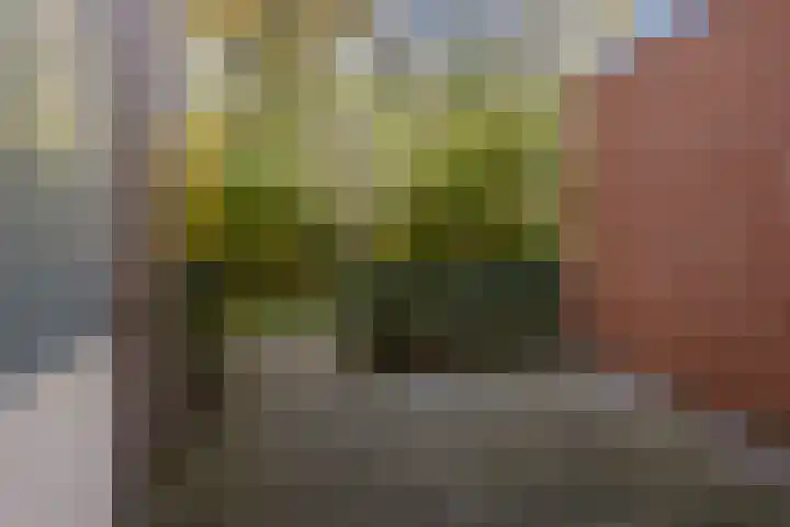 Hamplaats 15 Ten Boer thumbnail 36