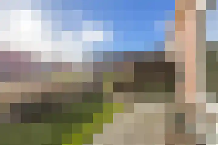 Hamplaats 15 Ten Boer thumbnail 41