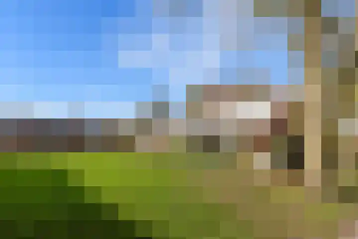 Hamplaats 15 Ten Boer thumbnail 7