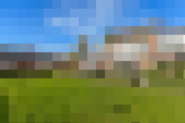 Hamplaats 15 Ten Boer thumbnail 8