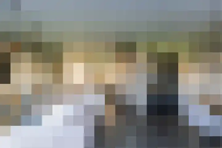 Hamplaats 41 Ten Boer thumbnail 10
