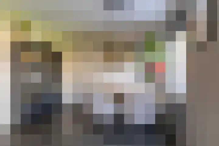 Hamplaats 41 Ten Boer thumbnail 12