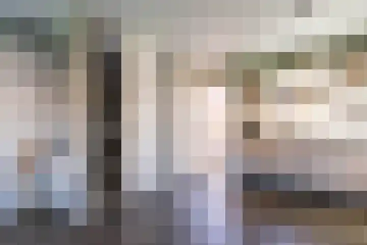 Hamplaats 41 Ten Boer thumbnail 13