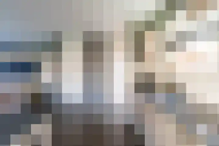 Hamplaats 41 Ten Boer thumbnail 15