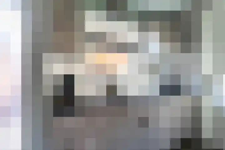 Hamplaats 41 Ten Boer thumbnail 16