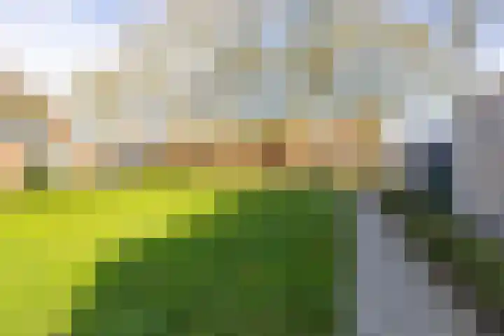 Hamplaats 41 Ten Boer foto 2