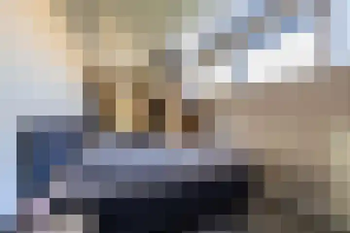 Hamplaats 41 Ten Boer thumbnail 26