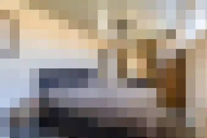 Hamplaats 41 Ten Boer thumbnail 27