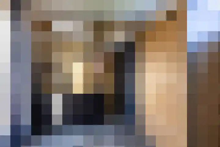 Hamplaats 41 Ten Boer thumbnail 28