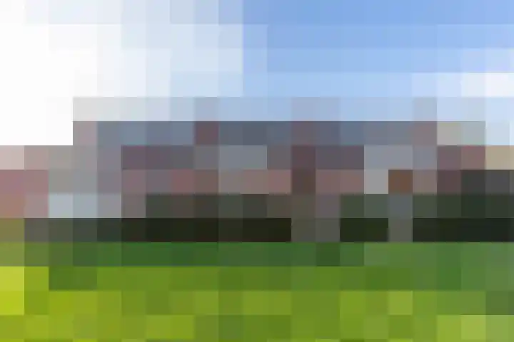 Hamplaats 41 Ten Boer thumbnail 31